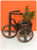 VINTAGE 70’s CANE WICKER BAMBOO BICYCLE TRICYCLE BIKE PLANTER PLANT HOLDER STAND