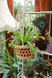 Vintage Wicker Hanging Planter Plant Pot - Penny Bizarre - 1