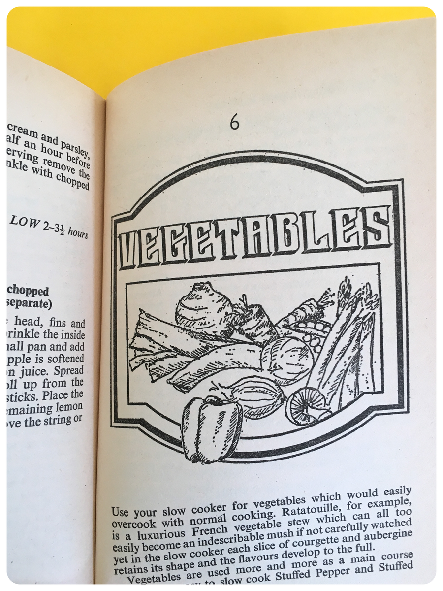 VINTAGE 1970’s SLOW COOKING PROPERLY EXPLAINED WITH RECIPES BOOK BY DI
