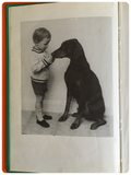 VINTAGE 1980’s FOYLES HANDBOOK THE DOBERMANN DOG BOOK BY HILARY HARMAR