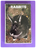 VINTAGE 1970’s PET RABBITS HANDBOOK GUIDE BOOK TFH PUBLICATIONS