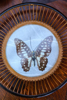 Vintage 70's Hand-made Butterfly & Bamboo Bowl - Penny Bizarre - 2